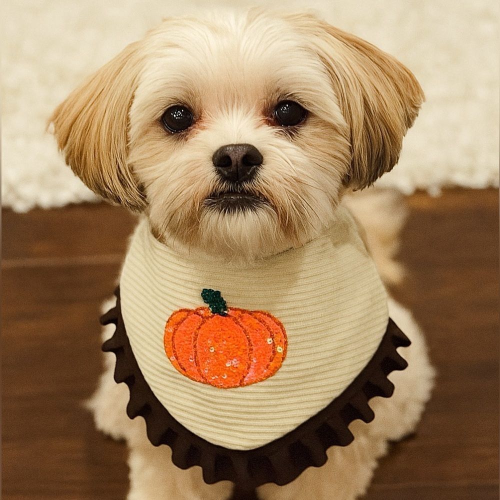 Pumpkin Chai Latte Dog Bandana (PCL)